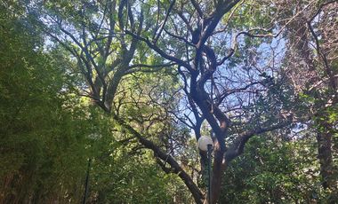 Casa en venta  en Tepoztlán Morelos