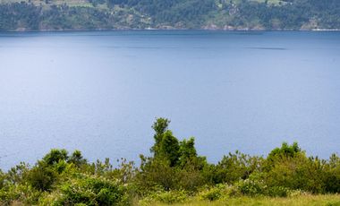 Loteo Lago Riñihue