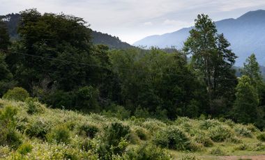 Loteo Lago Riñihue