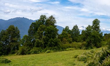 Loteo Lago Riñihue