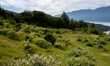 Loteo Lago Riñihue
