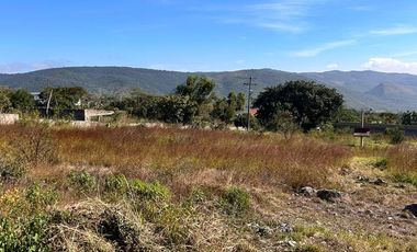 SE VENDE TERRENO CAMPESTRE