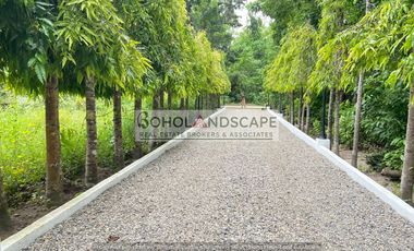 Exquisite Villa For Sale located in Poblacion, Panglao Island, Bohol