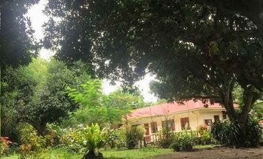 House And Lot For Sale In Dumaguete City, Negros Oriental
