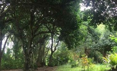 House And Lot For Sale In Dumaguete City, Negros Oriental