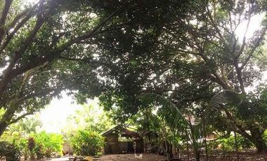 House And Lot For Sale In Dumaguete City, Negros Oriental