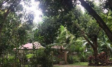 House And Lot For Sale In Dumaguete City, Negros Oriental