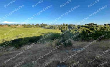 SE VENDE PARCELA DE AGRADO DE 5000M2  CAMINO PUERTAS NEGRAS  ORIENTE-SUR DE TALCA