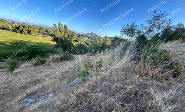 SE VENDE PARCELA DE AGRADO DE 5000M2  CAMINO PUERTAS NEGRAS  ORIENTE-SUR DE TALCA
