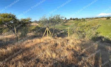 SE VENDE PARCELA DE AGRADO DE 5000M2  CAMINO PUERTAS NEGRAS  ORIENTE-SUR DE TALCA