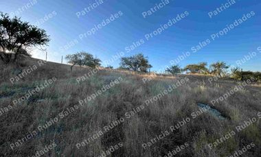 SE VENDE PARCELA DE AGRADO DE 5000M2  CAMINO PUERTAS NEGRAS  ORIENTE-SUR DE TALCA