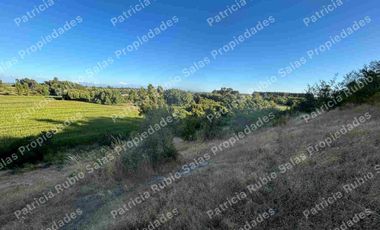 SE VENDE PARCELA DE AGRADO DE 5000M2  CAMINO PUERTAS NEGRAS  ORIENTE-SUR DE TALCA
