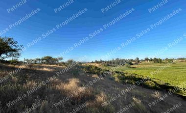SE VENDE PARCELA DE AGRADO DE 5000M2  CAMINO PUERTAS NEGRAS  ORIENTE-SUR DE TALCA