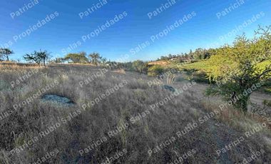 SE VENDE PARCELA DE AGRADO DE 5000M2  CAMINO PUERTAS NEGRAS  ORIENTE-SUR DE TALCA