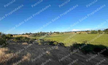 SE VENDE PARCELA DE AGRADO DE 5000M2  CAMINO PUERTAS NEGRAS  ORIENTE-SUR DE TALCA