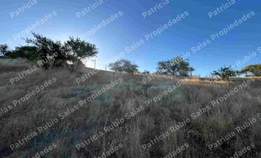 SE VENDE PARCELA DE AGRADO DE 5000M2  CAMINO PUERTAS NEGRAS  ORIENTE-SUR DE TALCA