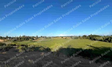SE VENDE PARCELA DE AGRADO DE 5000M2  CAMINO PUERTAS NEGRAS  ORIENTE-SUR DE TALCA