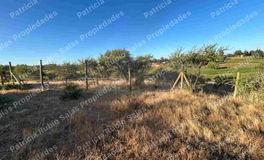 SE VENDE PARCELA DE AGRADO DE 5000M2  CAMINO PUERTAS NEGRAS  ORIENTE-SUR DE TALCA