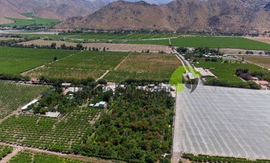 Venta de parcela 7.961 m2, con dos casas, camino principal el Tambo, Vicuña. 7.990 UF