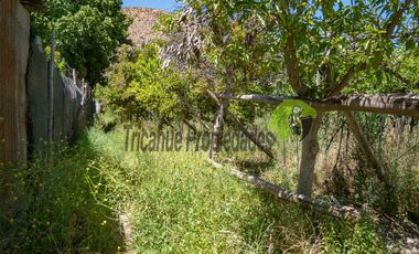 Venta de parcela 7.961 m2, con dos casas, camino principal el Tambo, Vicuña. 7.990 UF