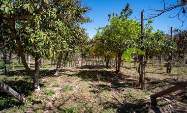 Venta de parcela 7.961 m2, con dos casas, camino principal el Tambo, Vicuña. 6.500 UF