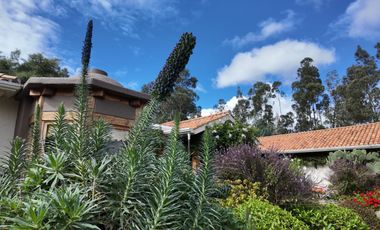 🌟¡En RENTA elegante casa en un entorno natural privilegiado!🌟