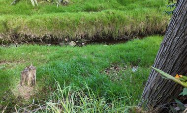 🌟¡En RENTA elegante casa en un entorno natural privilegiado!🌟