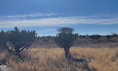 VENTA DE TERRENO SOBRE CARRETERA 200 TEQUISQUIAPAN, A 8 KM DEL AEROPUERTO