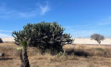 VENTA DE TERRENO SOBRE CARRETERA 200 TEQUISQUIAPAN, A 8 KM DEL AEROPUERTO