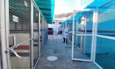 Local en Venta López Mateos Sur, Col. Aguablanca, Zapopan