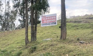 Terreno en arriendo 6.000m2 con frente a la vía Monay - Baguanchi, antes del Colegio Alemán
