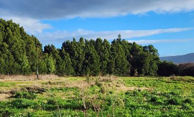 Parcela sin casa en Valdivia, Parcelas Cabo Blanco, a 10 min del centro