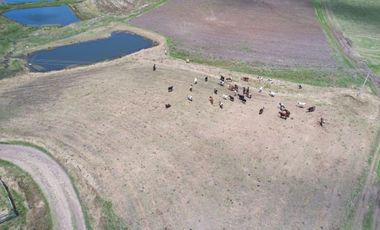 SE VENDE FINCA EN TOCA VEREDA LA CHORRERA