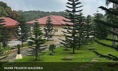 For sale Brand New Mansion in Tagaytay Fully Furnished