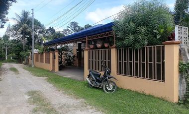 FULLY FURNISHED DUMAGUETE HOUSE AND LOT FOR SALE ID 14949