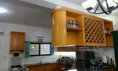FULLY FURNISHED DUMAGUETE HOUSE AND LOT FOR SALE ID 14949