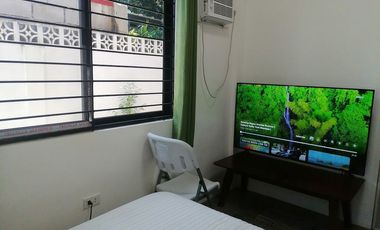 FULLY FURNISHED DUMAGUETE HOUSE AND LOT FOR SALE ID 14949