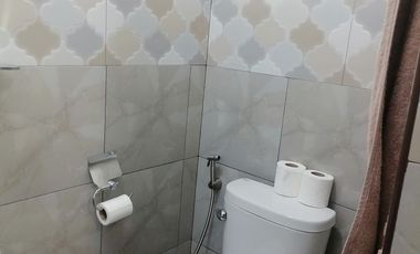 FULLY FURNISHED DUMAGUETE HOUSE AND LOT FOR SALE ID 14949