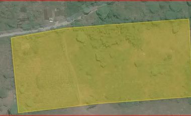 Farm Lot In Amadeo; FOR SALE!!!!!