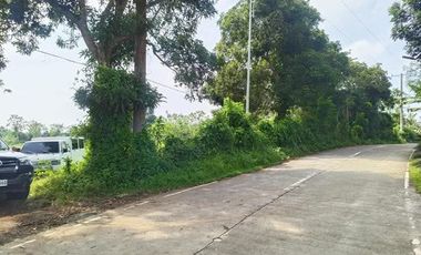 Farm Lot In Amadeo; FOR SALE!!!!!