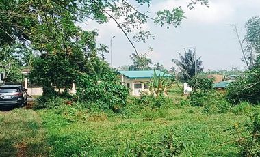 Farm Lot In Amadeo; FOR SALE!!!!!