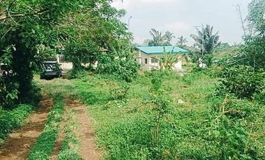 Farm Lot In Amadeo; FOR SALE!!!!!