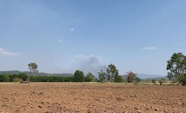 Land for sale, 100 rai, Wiang Chiang Rung District, Chiang Rai Province