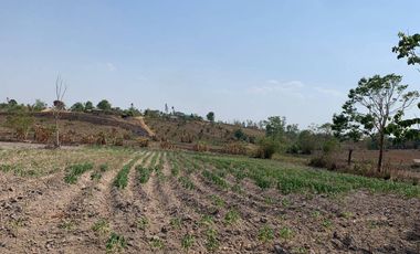 Land for sale, 100 rai, Wiang Chiang Rung District, Chiang Rai Province
