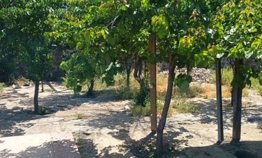 VENTA CASA SAN BERNARDO EX PANIFICADORA