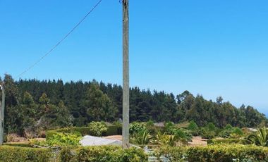 Excelente oportunidad de Inversión, se vende estupenda Parcela en La Trinchera, comuna de Curepto