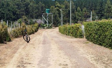 Excelente oportunidad de Inversión, se vende estupenda Parcela en La Trinchera, comuna de Curepto