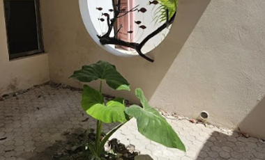 Casa Manglar en San Crisanto