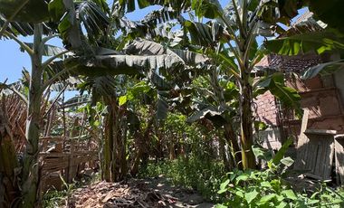 Se Vende Casa Como Terreno En Huacho