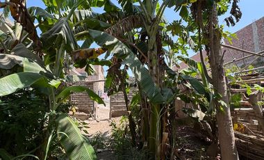 Se Vende Casa Como Terreno En Huacho